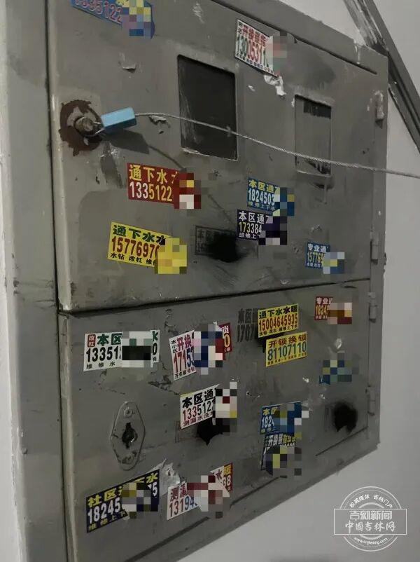 房门张贴87张“牛皮癣”！长春部分老旧小区野广告泛滥(图5)